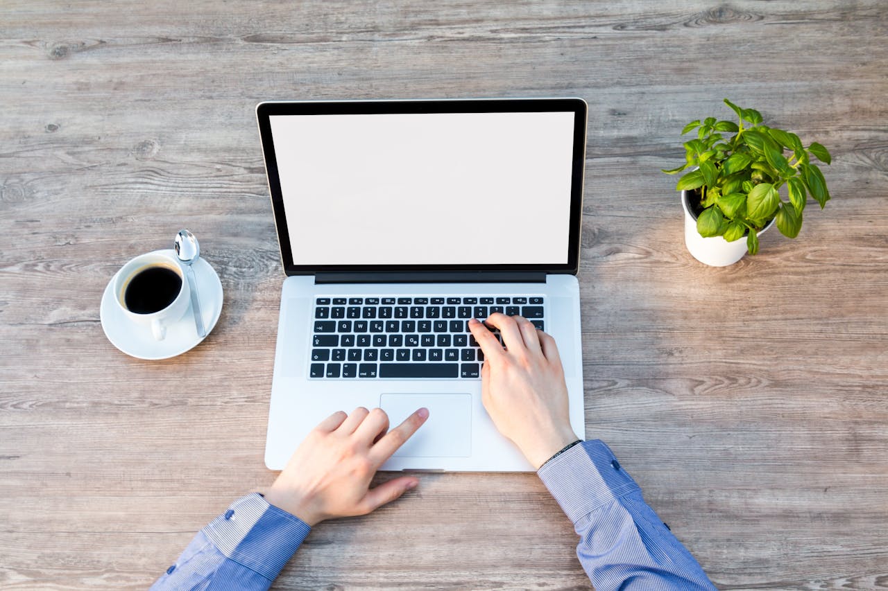 Création de site internet Sélestat : Votre projet web avec l'agence Mirtillo Création de site internet Sélestat : Votre projet web avec l'agence Mirtillo