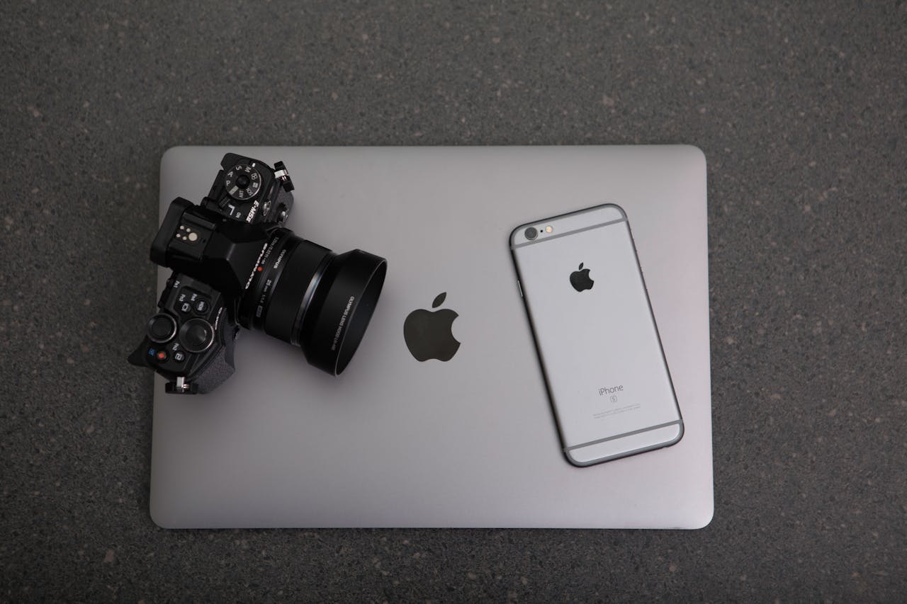 PNG ou JPEG : Guide complet pour choisir le meilleur format d'image